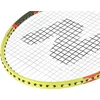 Nils Extreme Badmintono rinkinys Nils NRZ204