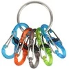 Raktų juosta Nite Ize KeyRing + 5x mikro karabinų skaidrus spalvų derinys (KRGP- 11- R3)