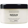 Noah 2.3. Regenerating Hair Mask With Argan Oil Kaukė sausiems ir pažeistiems plaukams, 500 ml