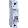 Noark Noark grandinės pertraukiklis 110071 DC 10KA C6 250VDC 1P