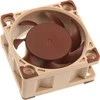Noctua 40mm ventiliatorius rudais sparneliais