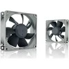 Noctua NF-R8 redux 1200 Kompiuterio dėklas Fan 8 cm Juodas, Pilkas