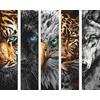 Art Active Norimpex Paveikslas pagal skaičius - Plėšrūnai 40x50cm