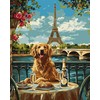 Art Active Ideyka tapybos pagal skaičius rinkinys Retriever in Paris KHO6627 40x50 AP0060