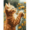 Norimpex Tapyba pagal numerius rinkinys Rudy Fluffy KHO6607 30x40 AP0013