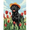 Norimpex Dailininko rinkinys skaičiais "Lovely Labrador" KHO6621 30x40 AP0055