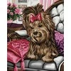Norimpex Paveikslas skaičiais - Jorkšyro terjeras 40x50cm