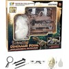Norimpex *****Fosilijų archeologinis kompleksas 2000053