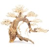 Norimpex Tapybos paveikslas „Bonsai“ medis nr. 13 60x40