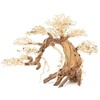 Norimpex Tapybos paveikslas „Bonsai“ medis nr. 13 60x40