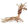 Norimpex Skęstantis bonsai medelis Nr. 14 40x30