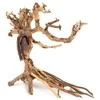 Norimpex Skęstantis bonsai medelis Nr. 14 40x30