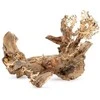 Norimpex Skęstantis bonsai medelis Nr. 50 50x40