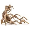 Norimpex Skęstantis bonsai medelis Nr. 64 50x40
