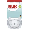 NUK Perfect Match Air POLAR BEAR čiulptukas 18+ mėn., 1 vnt. dėžutėje