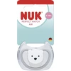 NUK Perfect Match Air POLAR BEAR čiulptukas, dydis 6-18 mėn., 1 vnt. dėžutėje