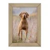 Nuotraukų rėmelis Ramka Gift Decor Ramka Woodflow FrameFlip A4