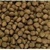 NutraGold GDD Gold Dog Snocerek jautiena ir lašiša – sausas Maistas šunims – 5kg