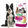 NutraGold GDD GOLD DOG Premium Vital su ėriena ir ryžiais – sausas Maistas šunims – 12kg
