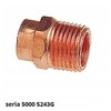 IBP Pereinamasis nipelis GZ 15x1/2'' IBP Conex Series 5000 5243G015004000