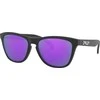 Oakley Akiniai nuo saulės Oakley FROGSKINS Universal