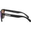Oakley Akiniai nuo saulės Oakley FROGSKINS Universal