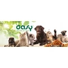Maisto produktai - Oasy More Love Vištiena su Sūriu Drėgnas Katės Maistas 70g