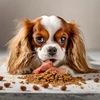Šunų maistas - Oasy One Animal Protein Adult Small/Mini antiena 2.5kg