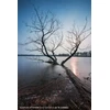 Objektyvas LAOWA Venus Optics Obiektyw D-Dreamer 12 mm f/2,8 Zero-D do Leica L