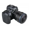 Venus Optics objektyvas Laowa 8-15 mm f/2,8 FF Zoom Fisheye, skirtas Canon RF