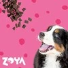Šunų Maistas - ZOYA ColdPRO Jautienos Sausas Maistas 9kg Be Glitimo Jautriems Skrandžiams