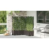 Sodo vazonas 5 vnt. Ruda 120 x 120 x 142 cm PP