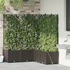 Sodo vazonas 5 vnt. Ruda 120 x 120 x 142 cm PP