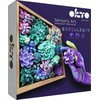 Plastilinas Okto SUCCULENTS TENDERNESS ETC10010