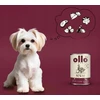 OLLO Pure antiena with apple – drėgnas ėdalas šunims – 850g