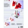1x50 Olympia laminavimo maišeliai DIN A3 125 mikronai 9175