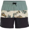 Oneills O'Neill Mix&Match Cali Block maudymosi šortai 15'' M 92800613824
