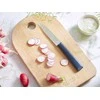 Opinel Les Essentiels Paring kitchen knife mėlynas