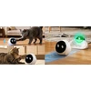 Opti Inteligentny robot su kamera mobilną - 1080p APTI (APTI-PET1-TUYA)