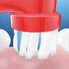 Oral-B antgalis ORAL-B BRAUN TIP EB10-2