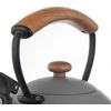 Orion WOODEN Virdulys plieno 2,9 l pilkas