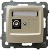 Ospel Karo antenos lizdas (tipas F)