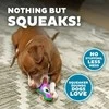 Outward Hound Cypimo žaislas šuniui Pelėda 15cm