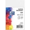 Oxford Oxford Cardboard A3 160g baltas (25), Baltas
