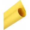 Oxford Oxford Cardboard A3 160g geltona (25), GELTONA