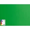 Oxford Oxford Cardboard A3 160g žalia (25), ŽALIA