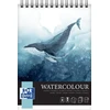 Oxford University Press Oksfordo universiteto spaudos AKMENS SPALVAS OXFART TW A4 10S 300G