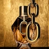 Paco Rabanne Rabanne Million Gold For Her Parfum Papildomas PP pildomi kvepalai moterims, 90 ml