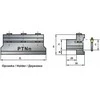 Pafana PTNN-20 ŽIBINTINĖ