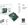Pagrindinė plokštė ASUS PRO A620M-C-CSM mATX